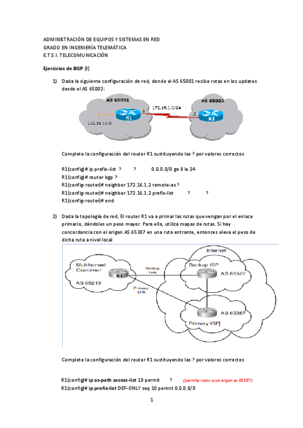 Miniatura del documento 3. Ejercicios_BGP_1.pdf