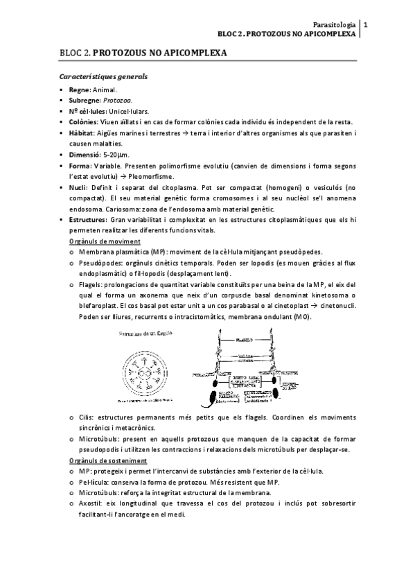 Miniatura del documento PROTOZOUS.pdf