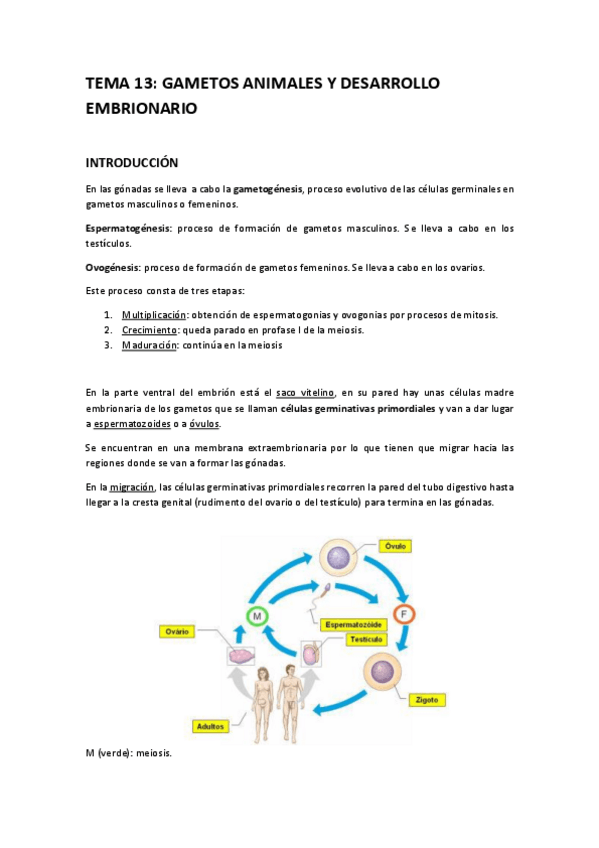 Miniatura del documento TEMA-13-apuntes.pdf
