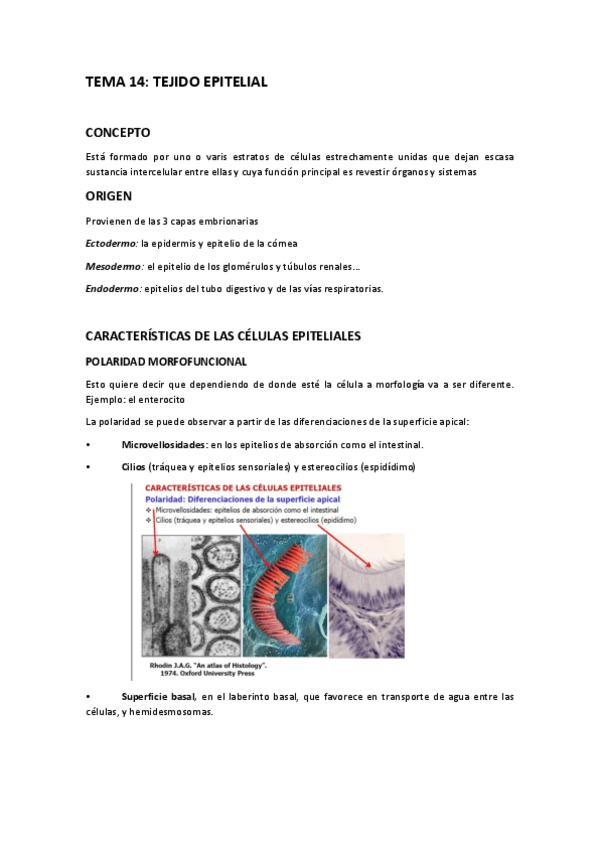 Miniatura del documento TEMA-14-APUNTES.pdf