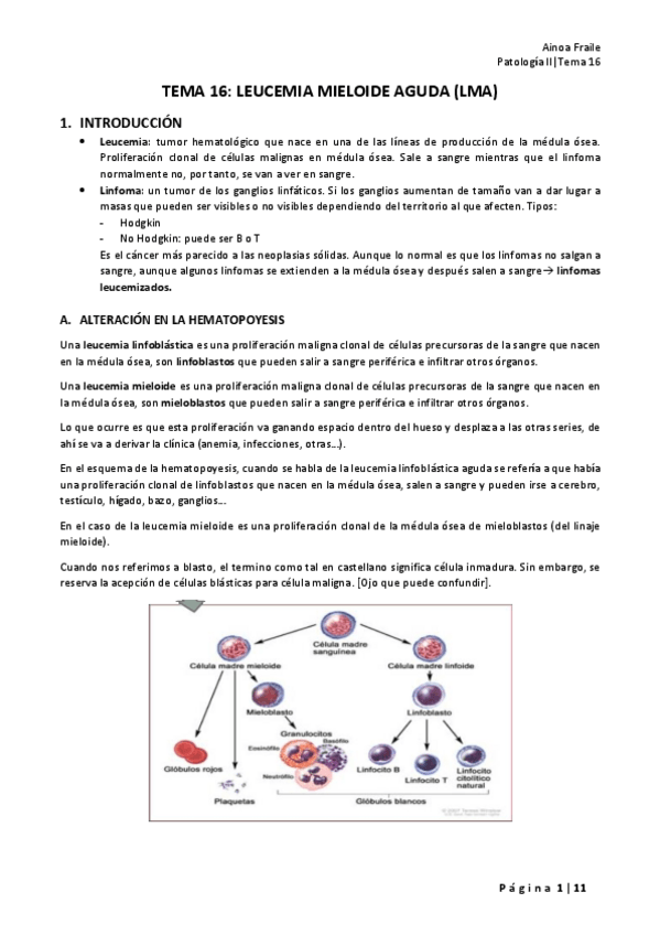Miniatura del documento TEMA-16-LEUCEMIA-MIELOIDE-AGUDA.pdf