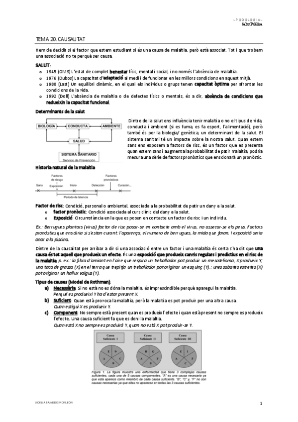 Miniatura del documento Tema-20.pdf