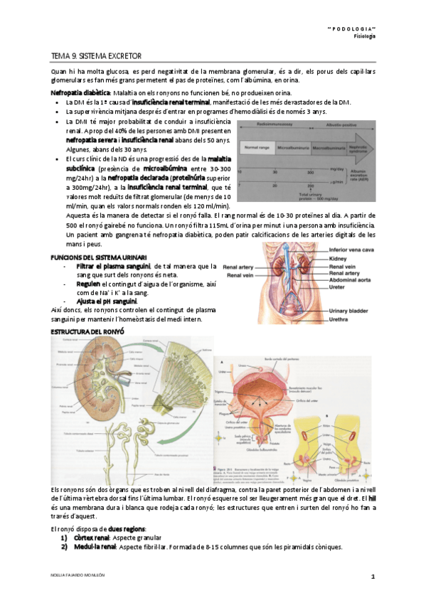 Miniatura del documento Tema-9.pdf