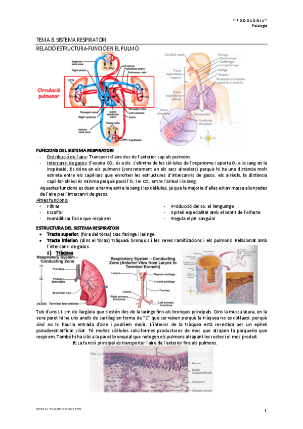 Miniatura del documento Tema-8.pdf
