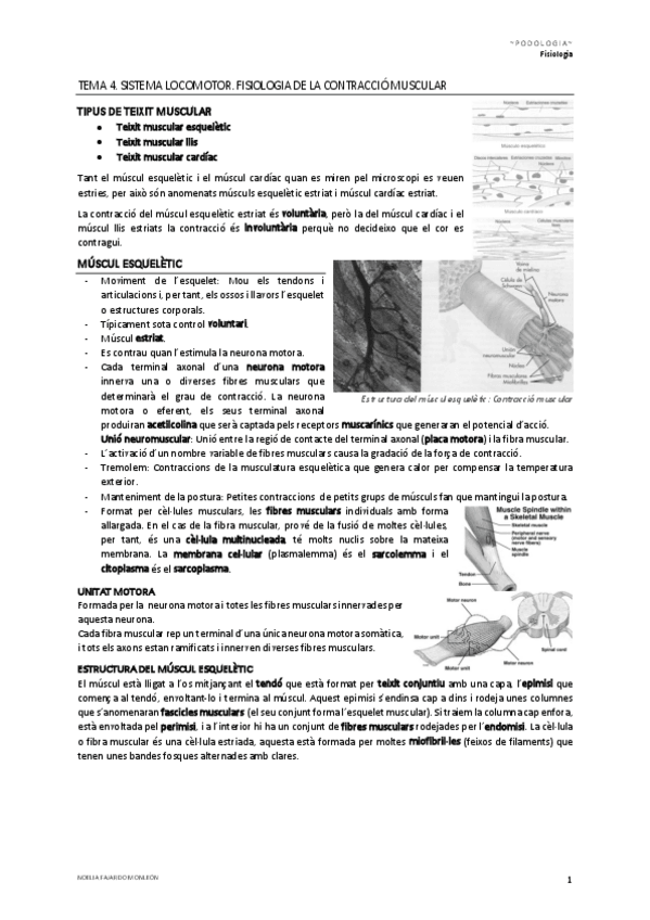 Miniatura del documento Tema-4.pdf