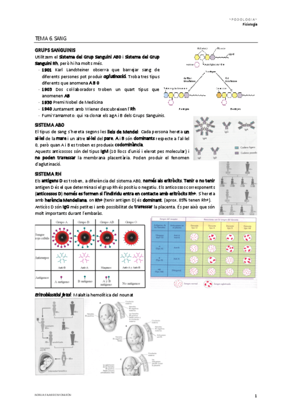 Miniatura del documento Tema-6.pdf