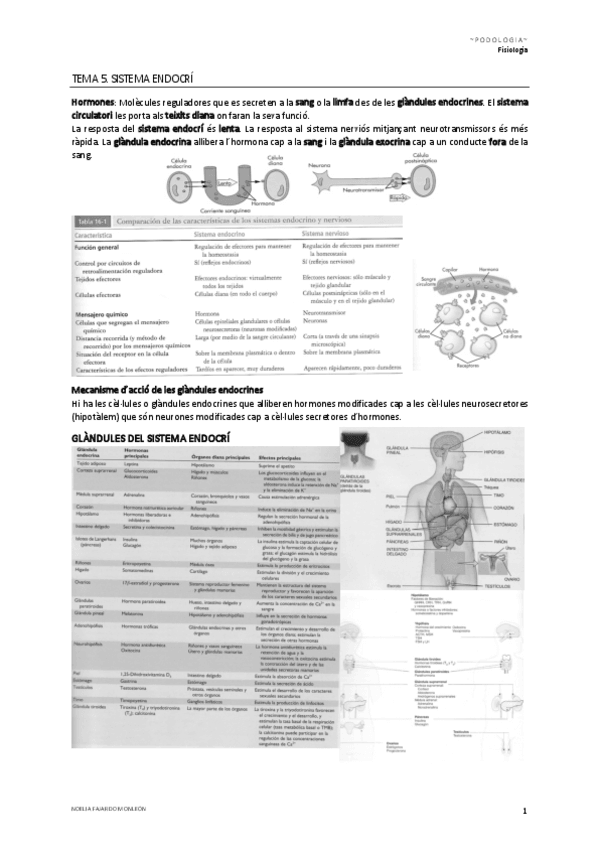 Miniatura del documento Tema-5.pdf