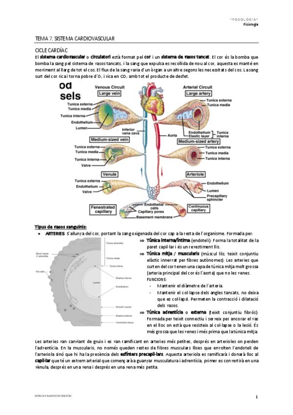 Miniatura del documento Tema-7.pdf