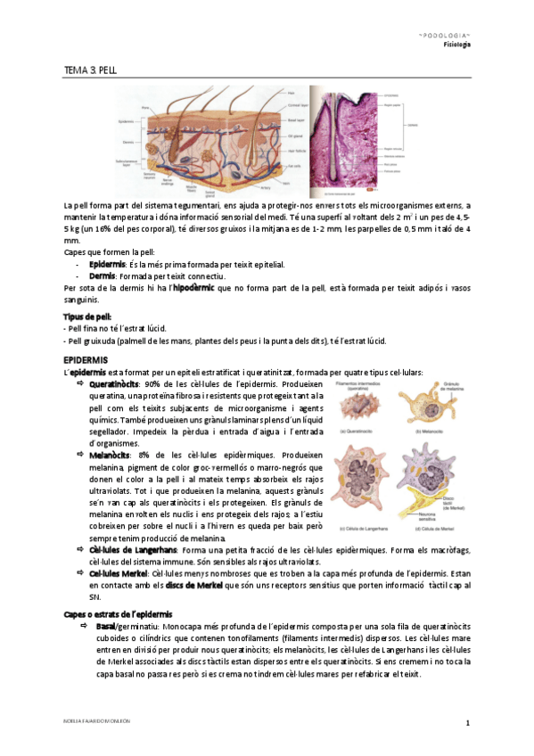 Miniatura del documento Tema-3.pdf
