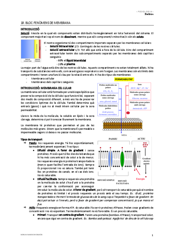 Miniatura del documento Tema-1.pdf