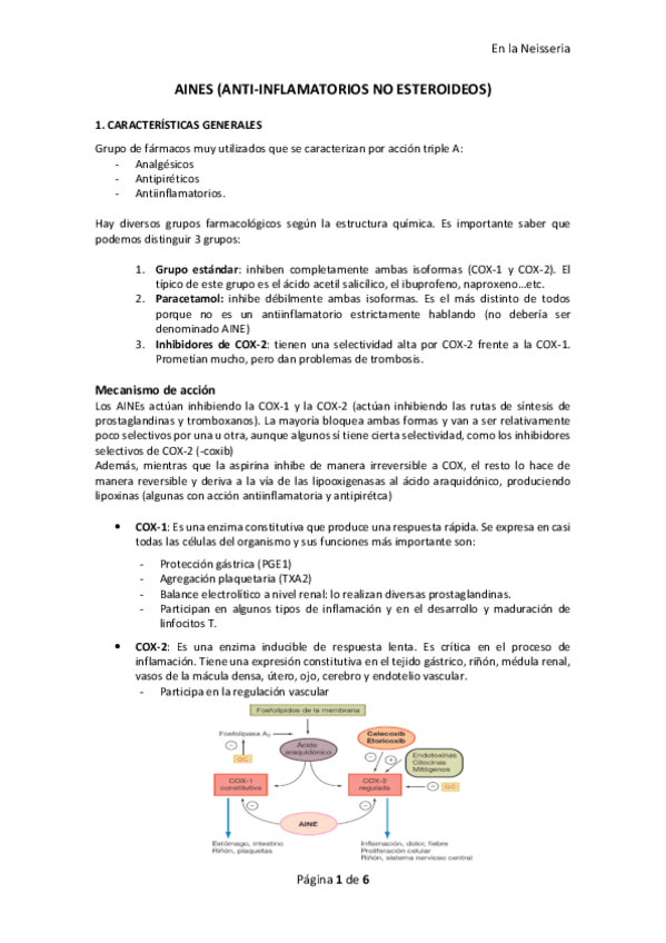 Miniatura del documento AINES.pdf