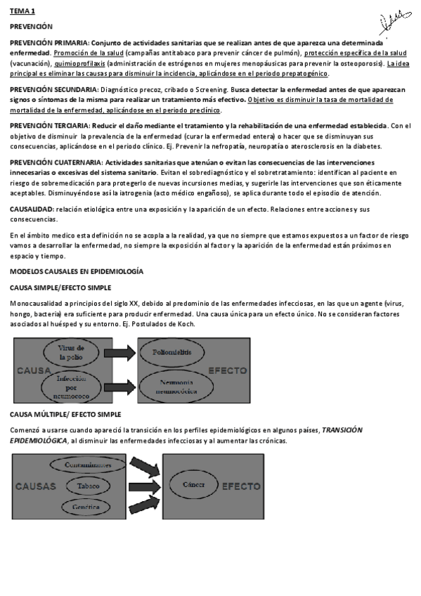 Miniatura del documento RESUMIENDO-EPI.pdf