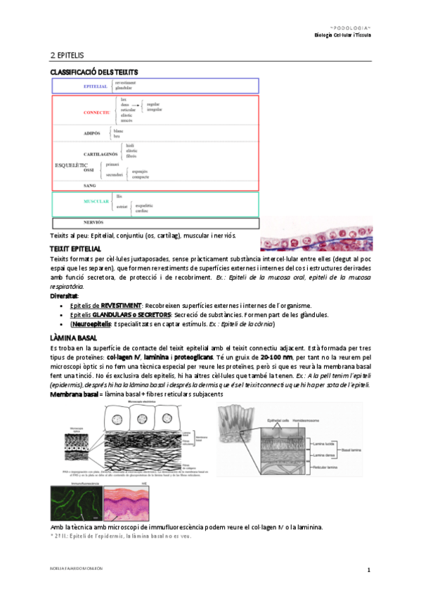 Miniatura del documento 2.pdf