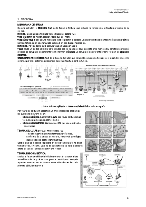 Miniatura del documento 1.pdf