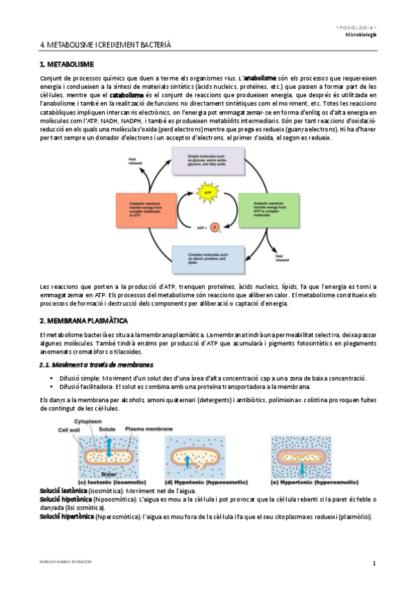 Miniatura del documento TEMA-4.pdf