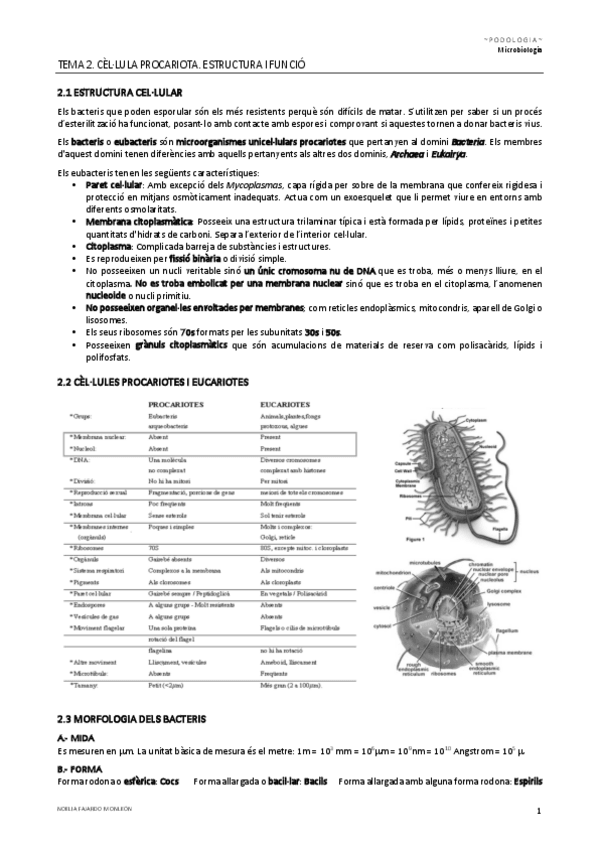 Miniatura del documento TEMA-2.pdf