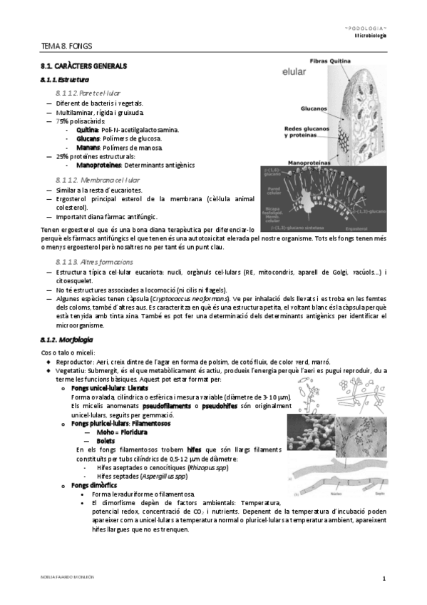 Miniatura del documento TEMA-8.pdf