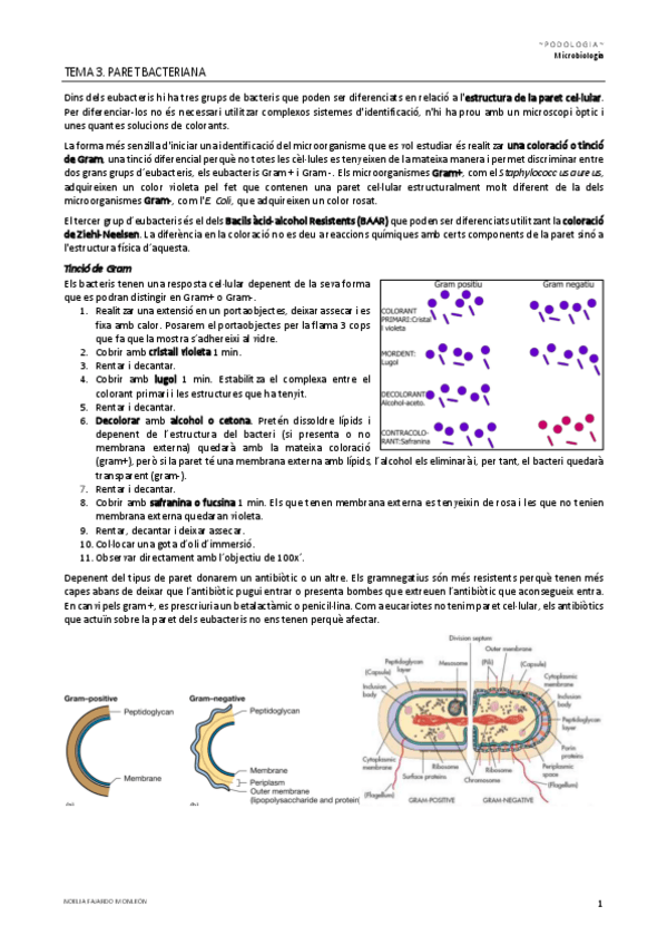 Miniatura del documento TEMA-3.pdf