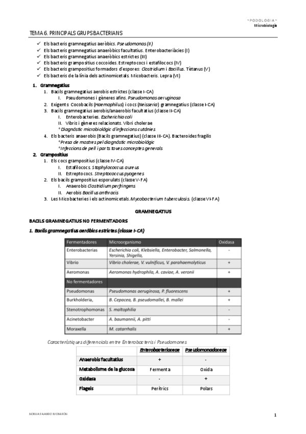 Miniatura del documento TEMA-6.pdf