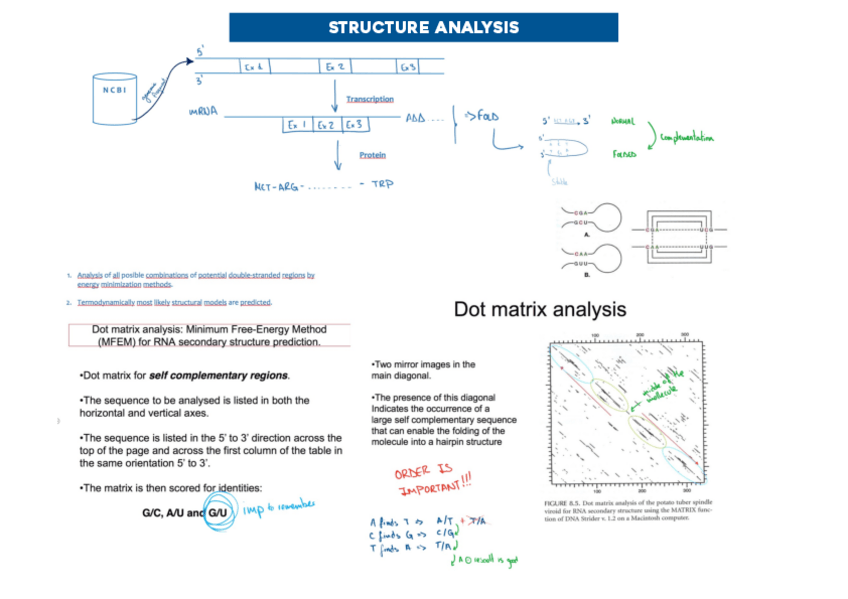 Miniatura del documento BioCompNotesonChapter5.pdf