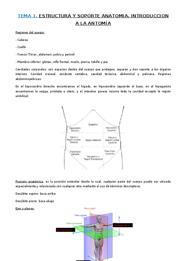 Miniatura del documento RESUMENES.docx