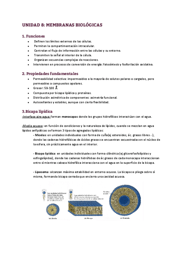 Miniatura del documento UNIDAD-8MEMBRANAS-BIOLOGICAS.pdf
