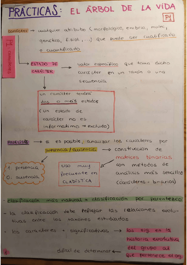 Miniatura del documento apuntesavorganizados.pdf