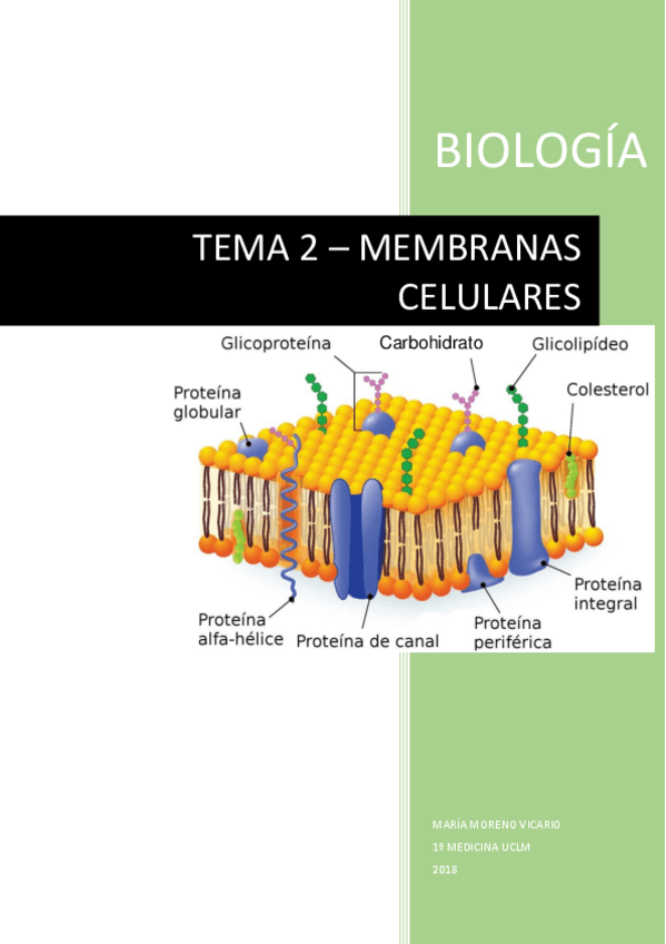 Miniatura del documento TEMA-2-MEMBRANAS-CELULARES.pdf