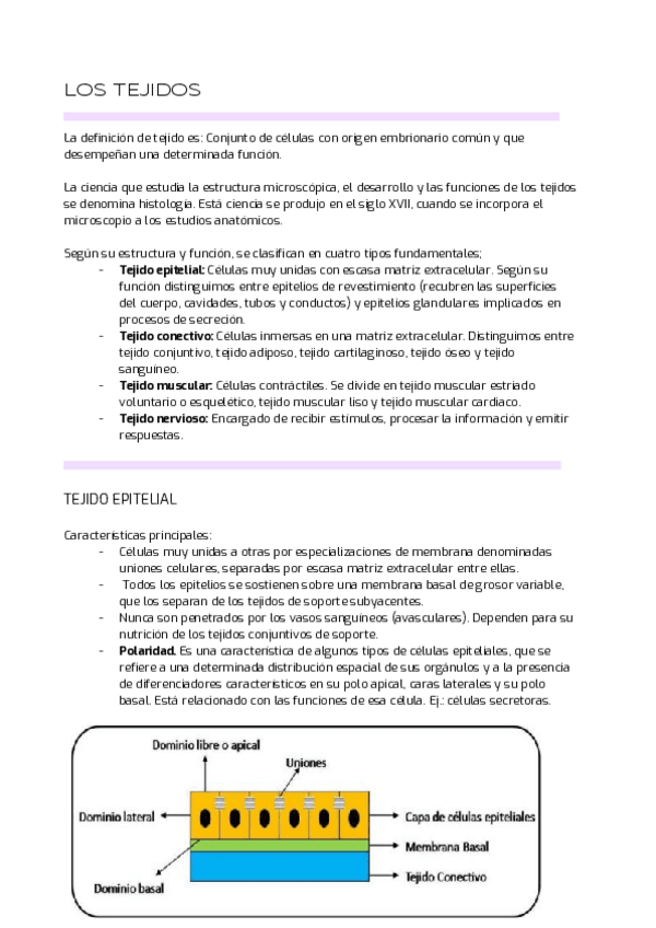 Miniatura del documento 3.pdf