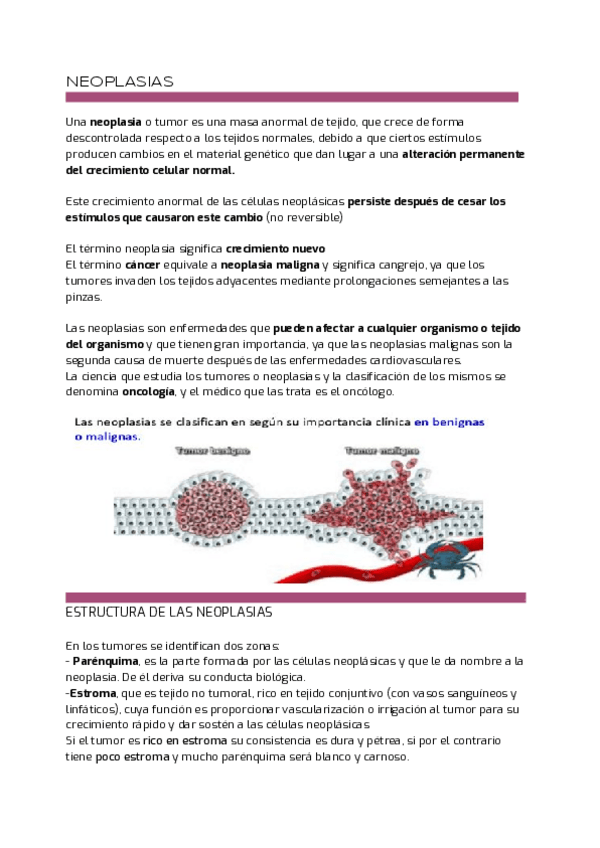 Miniatura del documento 5.pdf