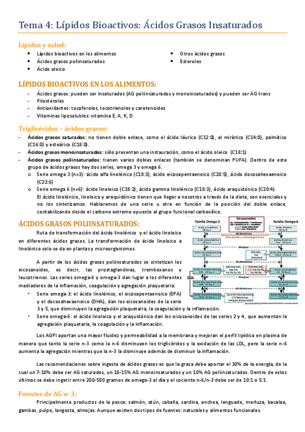 Miniatura del documento Tema-4.pdf