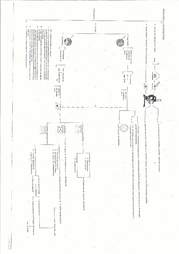 Miniatura del documento Esquema-tecnicas.pdf