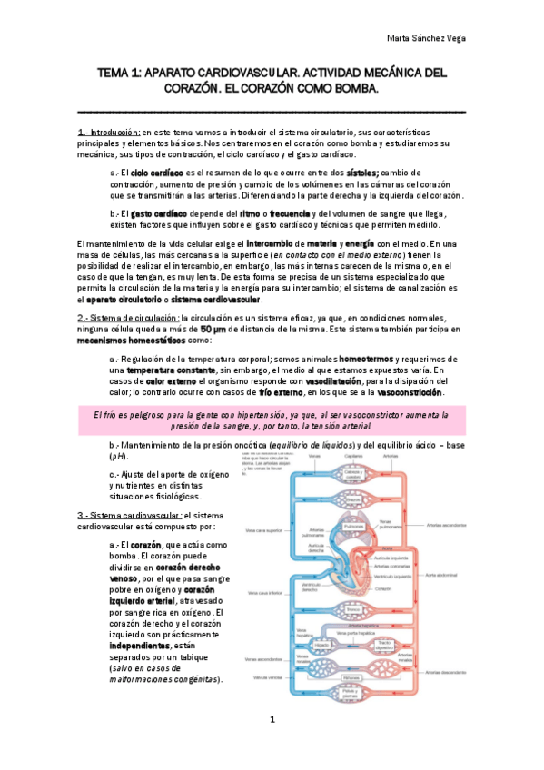 Miniatura del documento TEMA-1.pdf