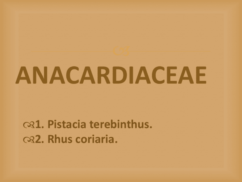 Miniatura del documento visu (2).pdf