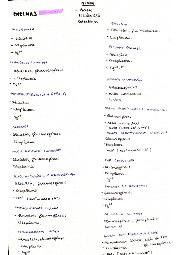 Miniatura del documento Enzimas-de-todos-los-procesos.pdf