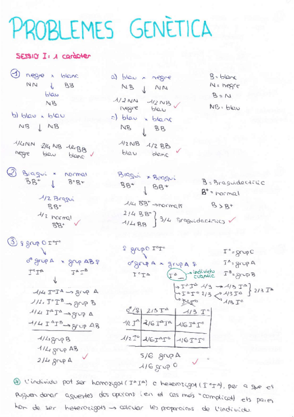 Miniatura del documento Problemes.pdf