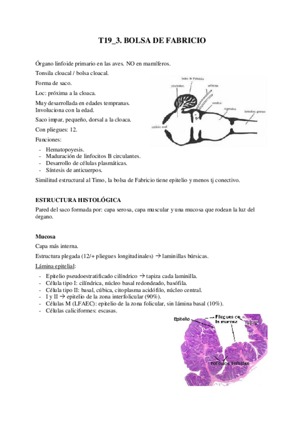Miniatura del documento T19-3-Bolsa-de-Fabricio.pdf