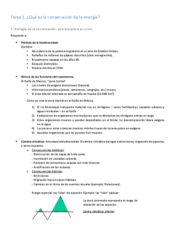 Miniatura del documento T1-espanol.pdf