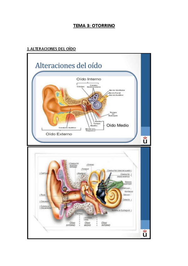 Miniatura del documento TEMA-3.pdf