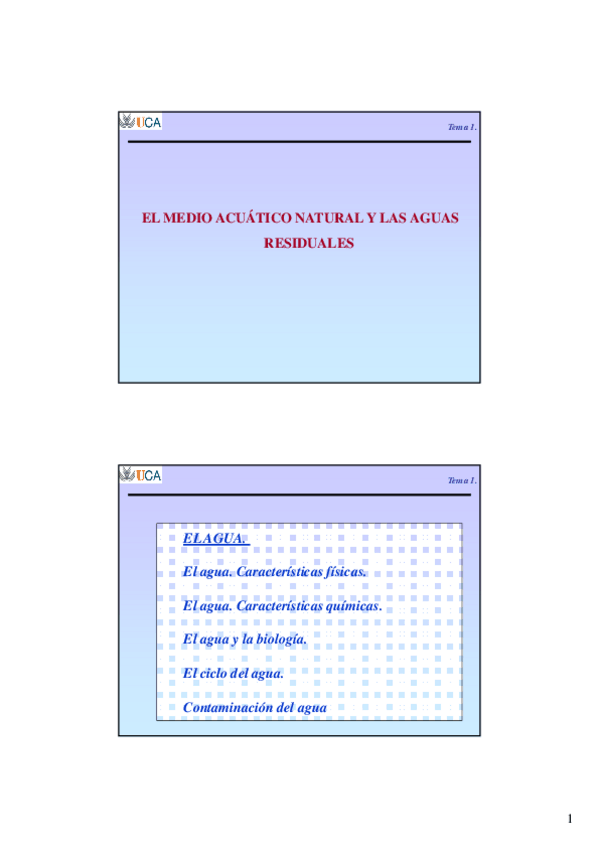 Miniatura del documento Tema 1.pdf