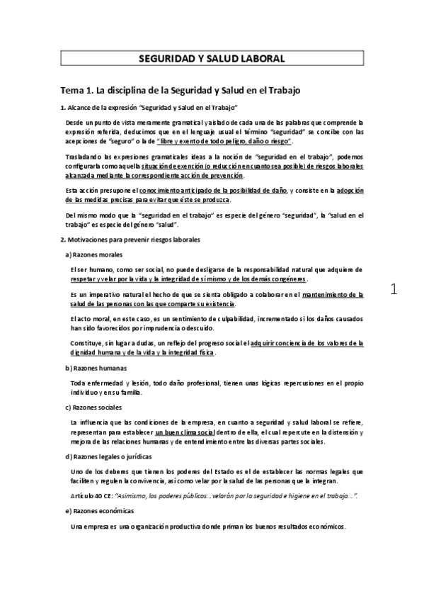 Miniatura del documento SEGURIDAD-Y-SALUD-LABORAL-CARMEN-GARCIA.pdf