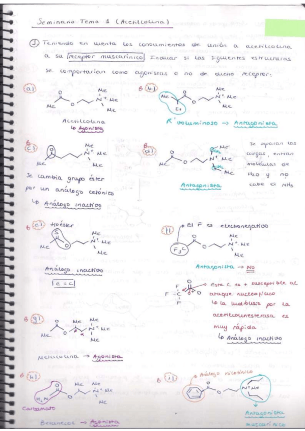 Miniatura del documento Tema-1.pdf