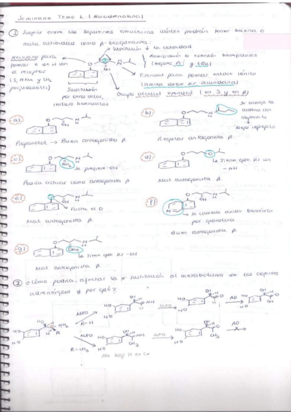 Miniatura del documento Tema-2.pdf