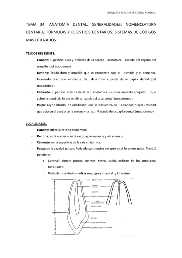 Miniatura del documento TEMA-34.pdf