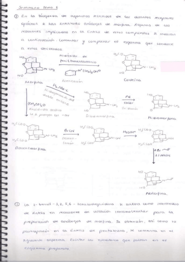 Miniatura del documento Tema-6.pdf