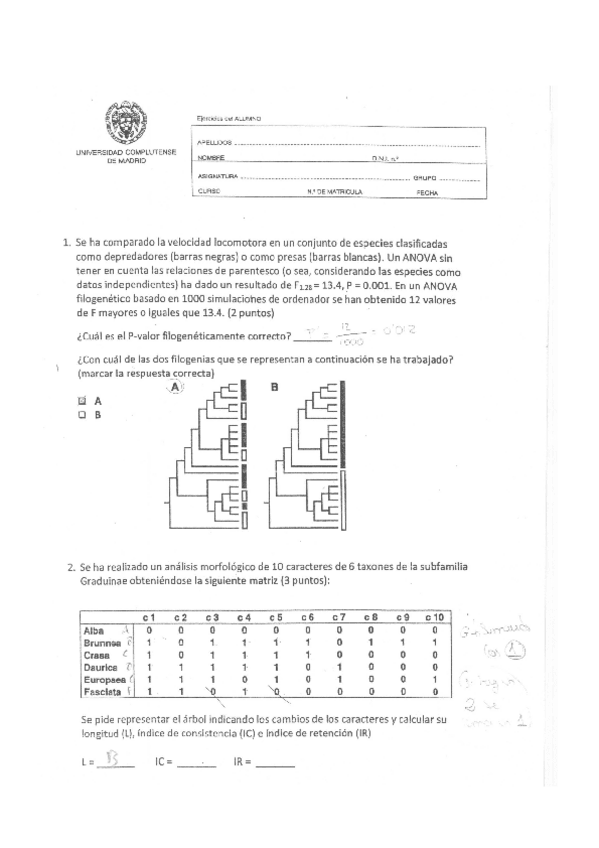 Miniatura del documento Examen-practicas-parte-2-BEVO.docx