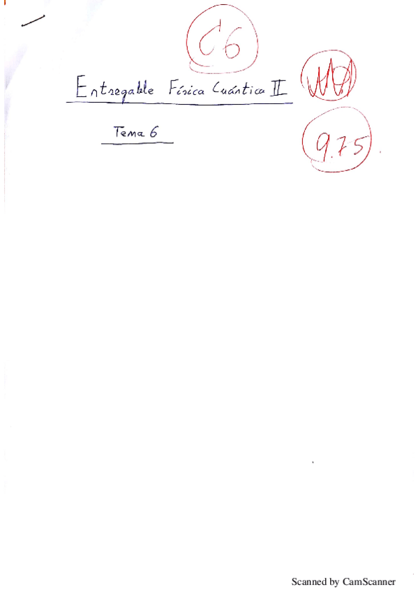 Miniatura del documento Entregable-5-Cuantica-II-corregido.pdf