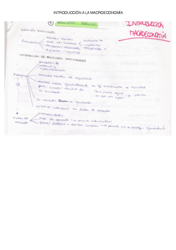 Miniatura del documento INTRO MACRO.pdf