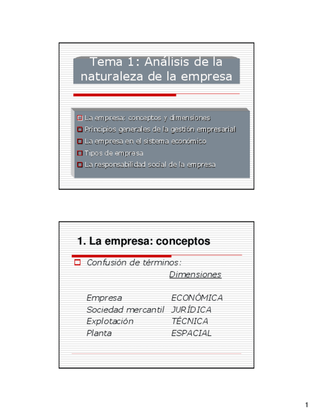 Miniatura del documento T1_La_empresa.pdf