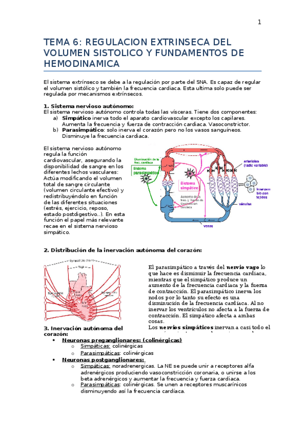 Miniatura del documento T.docx